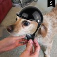 thumbnail image 1 of BRILLAR Casco para mascotas - Gorro de moto para perros pequeños y negros para montar al aire libre, 1 of 5