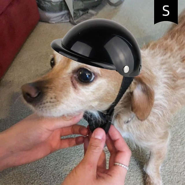 BRILLAR Casco para mascotas - Gorro de moto para perros pequeños y negros para montar al aire libre