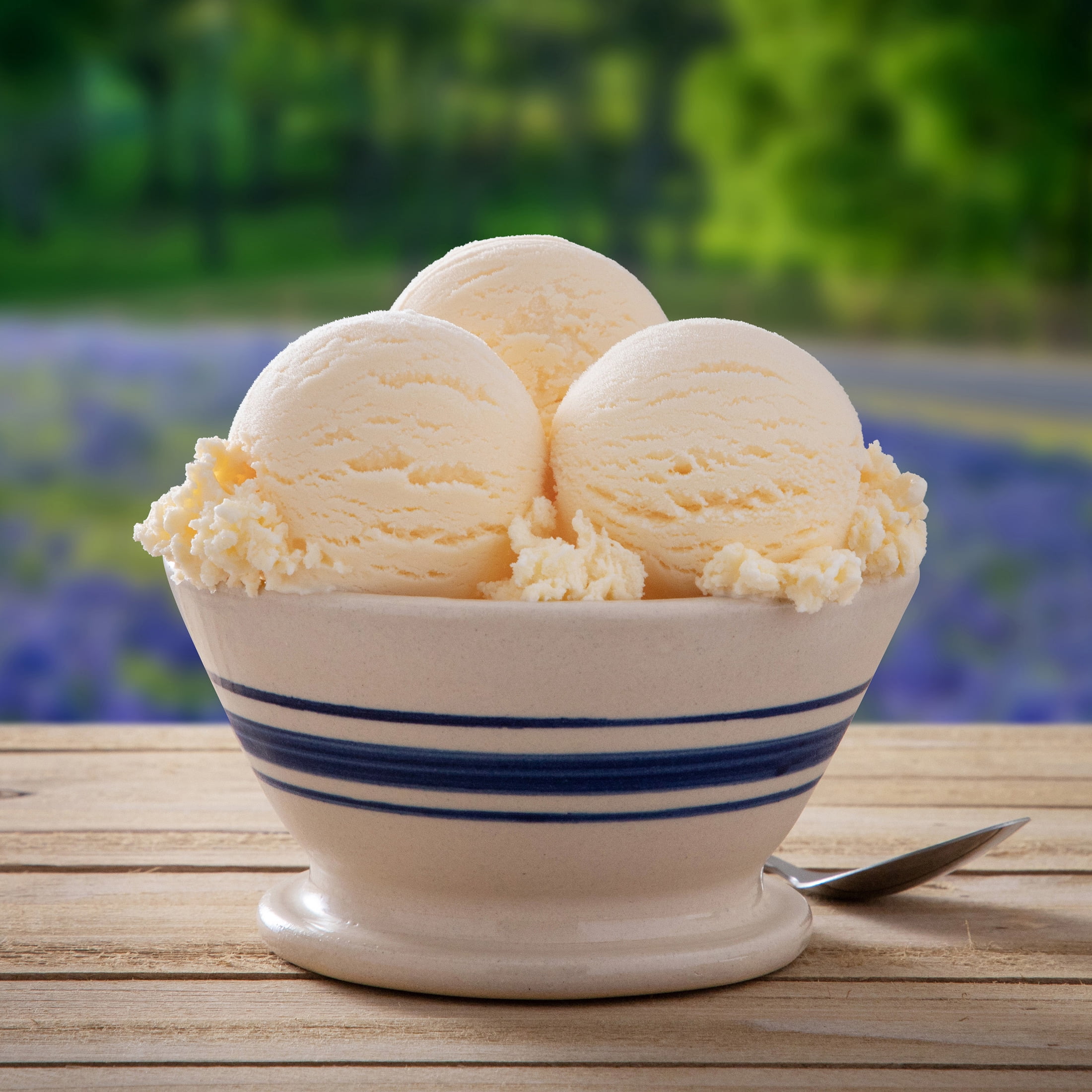 Blue Bell No Sugar Added Country Vanilla Reduced Fat Ice Cream Half Gallon, 64 fl oz