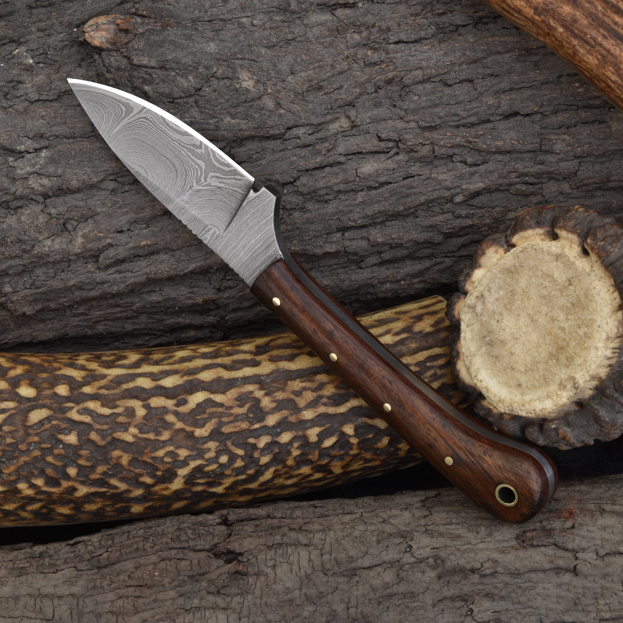 Knives Ranch 2011 Compact Damascus Steel Fixed Blade EDC Knife with Rosewood Handle – Durable Pocket Style Outdoor Knife for Camping, Hunting & Utility Tasks