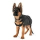 thumbnail image 3 of Pet Dog Back Brace Back Support Wrap Arnés de cuerpo completo Ajustable Cómodo M 6kg a 10kg Zulema Soporte en la espalda, 3 of 7