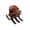 Shell, variant on Parcelona French Classic Large Pony Celluloid Jaw Hair Claw for Women and Girls (Shell)
