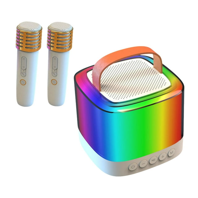 Bluetooth Small Speaker Dustproof Microphone Machine for Travel Outdoor Home with 2 microphone