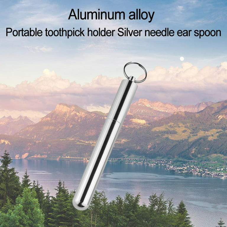  Essencedelight Toothpick Holder Portable Toothpick Case with  Key Chain Pocket Aluminum Alloy Toothpick Box Metal Pill Container for  Small,86mmX11mm : Home & Kitchen