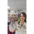 thumbnail image 5 of Peluche Giant Microbes Bacteria E Coli XL, 5 of 5