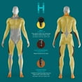 Homedics Rechargeable Therapist Select Prime Percussion Deep Tissue