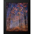 thumbnail image 2 of Vinogradof, Florentin 12x14 Black Modern Framed Museum Art Print Titled - Autumn Leaves, 2 of 5
