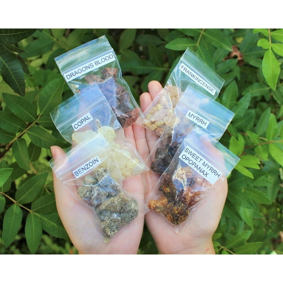 Incense Resin Sampler Set of 6 Different Scents (Church, Spiritual Incense)