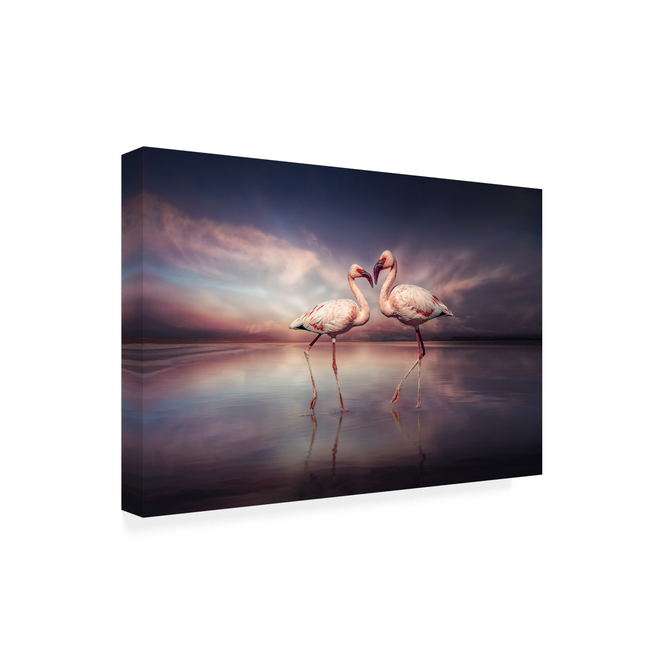 Trademark Fine Art Marcel Egger  FlamingoLove Canvas Wall Art