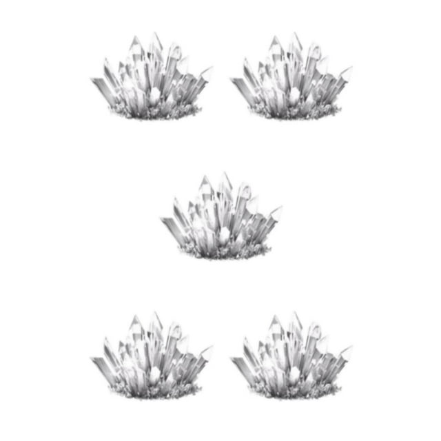 Guardoinrt Interactive Crystal Growing Experiment Science Kit for Kids Conduct Crystals White 175x125x60mm 5Set