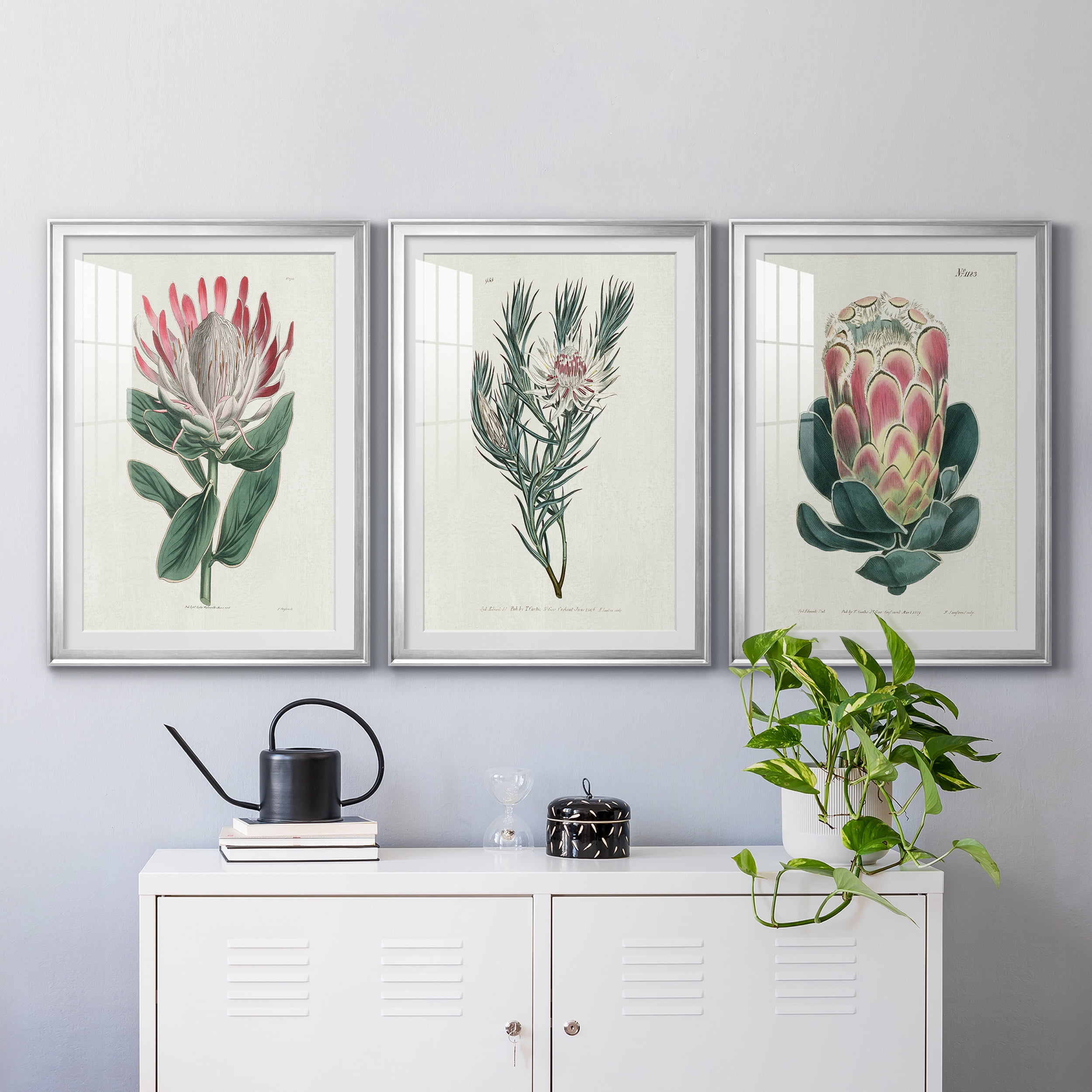 Protea N13 Premium Framed Prints Set of 3 - Ready to Hang - 26.5 x 36.5 Each - Silver Frame