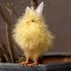 thumbnail image 5 of Juguetes de piscina, juguetes para bebés y niños pequeños: figuras de gallinas y gallos de peluche. Decoraciones ideales para supermercados, tiendas y festivales., 5 of 6