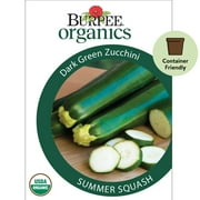 Burpee Organic Dark Green Zucchini Summer Squash Vegetable Seed, 1-Pack