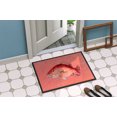 thumbnail image 4 of Carolines Treasures 8351JMAT 24 x 36 In. Strawberry Snapper Indoor or Outdoor Mat, 4 of 4