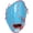 Columbia Blue, variant on Rawlings Players Series 9 Inch Youth T-Ball Glove Right Hand Throw