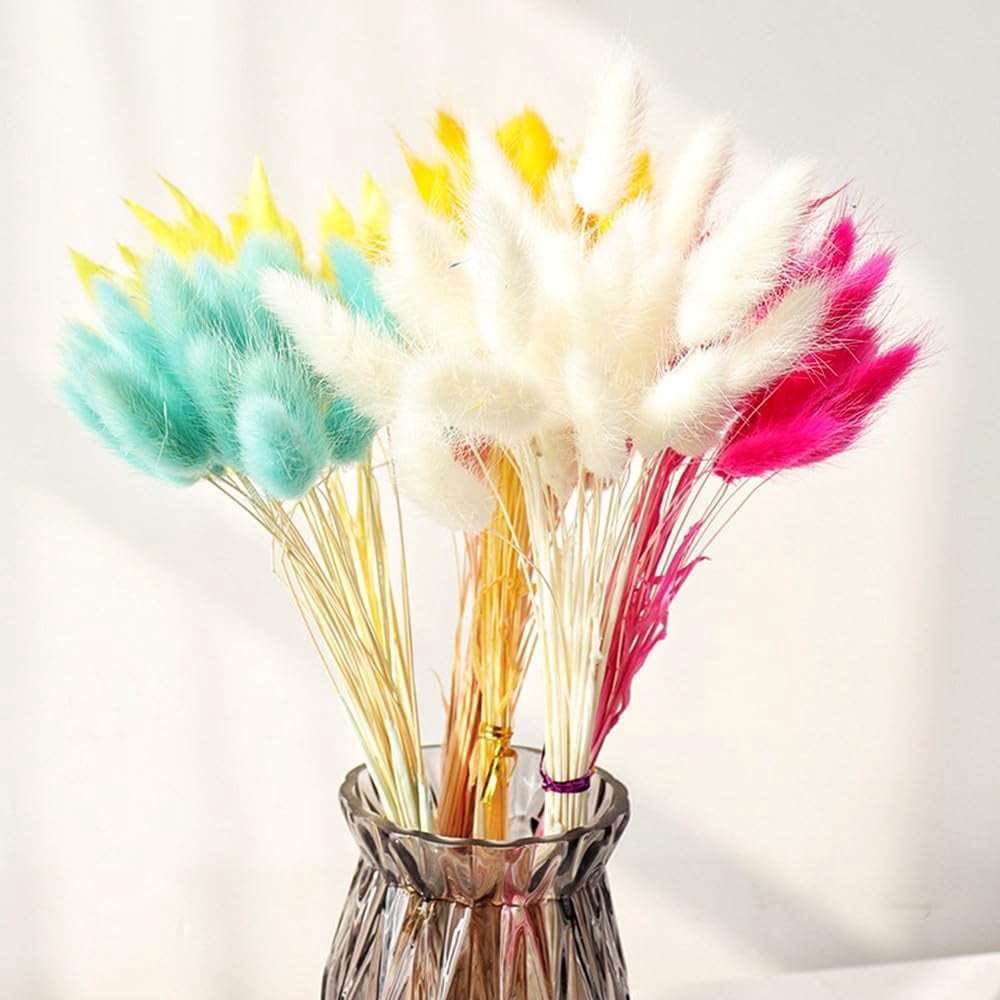 Natural Dried Bunny Tail Grass Real Flower Eternal Flower Lagurus Ovatus Dry Grass Dried Flowers Pampas Grass Bouquet Rabbit Tail Grass Stems forHome Decor and Fall Theme Decorati(7"/White)