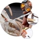 thumbnail image 3 of Juego de herramientas para mariscos de 8 piezas, pinzas para tijeras para mariscos Langosta Cangrejo Mallets Shell Toma Mariscos Langostinos Camarones Devein Herramienta para hacer mariscos JFHHH pequeña, 3 of 5