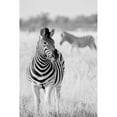 thumbnail image 3 of Bertsch, Hannes 11x14 Black Modern Framed Museum Art Print Titled - Zebra Bw, 3 of 5