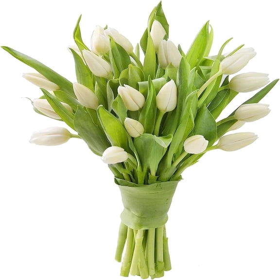 KaBloom: 20 White tulips, 6 Greens in a Vase, Next-Day Delivery, Gift for Every Occasion.