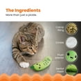 thumbnail image 4 of Catstages Crunchy Pickle Kicker Dental Catnip Cat Toy, 4 of 8