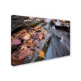 thumbnail image 2 of Trademark Fine Art "Chance Creek 1" Canvas Art by Jason Shaffer, 2 of 3