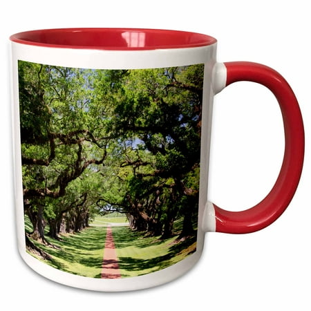 3dRose Louisiana, New Orleans, Vacherie. Oak Alley Plantation, old oak trees. - Two Tone Red Mug,