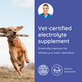 thumbnail image 3 of Petralyte Dog Electrolyte and Joint Supplement | for Beef Lovers | 16 Packets, 3 of 7