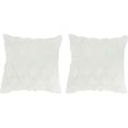 thumbnail image 1 of Juego de 2 fundas de almohada decorativas de terciopelo polar corto de felpa suave, funda de cojín cuadrada, 1 of 5