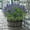 Purple* 5, variant on Uv Resistant Artificial Outdoor Flowers, Ongmies Lavender Green Plants Decoration Suitable for Windowsill Garden Terrace, A Bunch of Artificial Flowers* 5