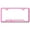 Silver on Pink, variant on Ford License Plate Frame - Laser Etched Cut-Out Frame - Stainless Steel