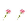 thumbnail image 1 of Clavel Ganchillo Punto Terminado para Cumpleaños Boda () Rosa, 1 of 8