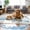 Blue, variant on Summer Dog Cooling Mat Pet Cooling Pads Sleeping Kennel Mat Ice Silk Cool Mat Portable Breathable Dog Bed Mats for Small Medium Dogs & Cats Indoor & Outdoor Travel (Dark Grey, 16''×12'')
