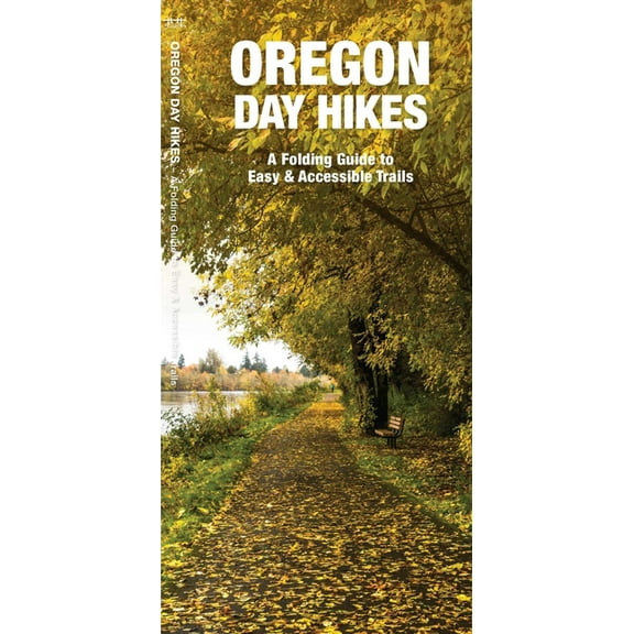 Kinstler: And This Feeling - 1000 Piece Puzzle, 26.5" x 19.15" Assembled, Adult Jigsaw, Unique Colorful Swirling Art, 100% Recycled Materials