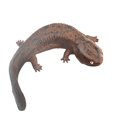 thumbnail image 4 of Almencla Salamander Figurine Salamander Animal Figures Collections Holiday Present Birthday Gifts Preschool Simulation Wildlife Statue brown, 4 of 8