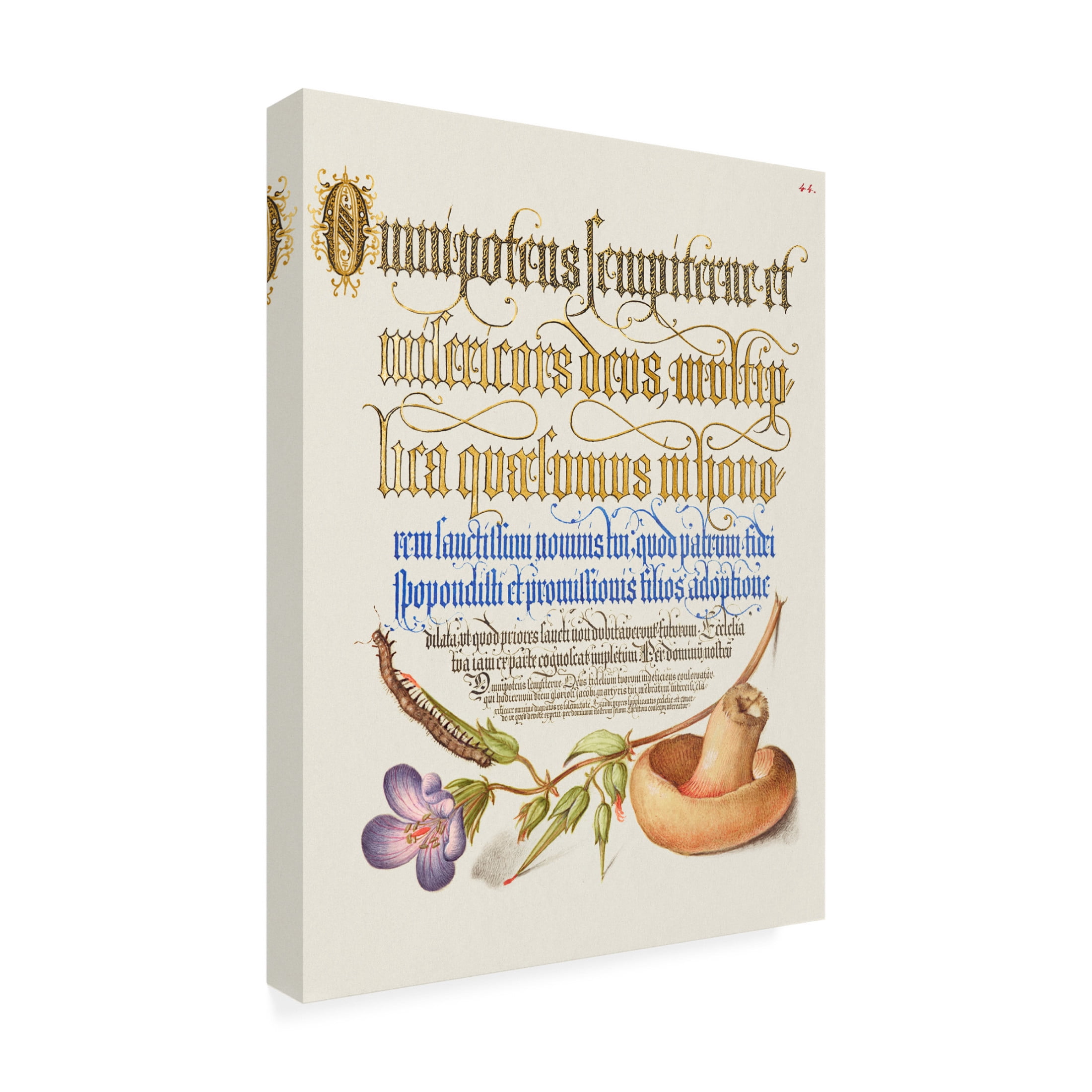 Trademark Fine Art Pictufy Mushroom Poster Canvas Wall Art