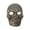 A001- Gold, variant on Halloween Skull Mask 7X9.5 Inches, Scary Halloween Mask for Mask, Creepy Mask Ideal for Halloween Party