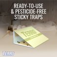 thumbnail image 4 of TERRO Pantry Moth Traps, 2 Pack, 4 of 7