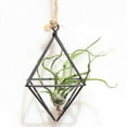 thumbnail image 3 of Hanging Air Plants Holder Rustic Wall Mount Irregular Geometric Metal Rack Accent Decor Rose Gold ( No Plants ), 3 of 6