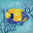 thumbnail image 2 of Brent, Paul 20x20 Black Ornate Wood Framed with Double Matting Museum Art Print Titled - Azure Tropical Fish V, 2 of 4
