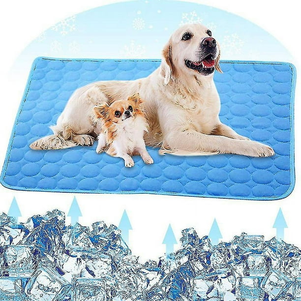 Estera de enfriamiento para mascotas Almohadilla de enfriamiento para mascotas Estera de enfriamiento para perros Estera de enfriamiento automático para mascotas Manta de enfriamiento para perros y gatos Azul62 * 50 cm Rojo Verde Cocina, Decoración y Otros