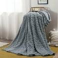 thumbnail image 2 of Qholemyo 59x39 In Soft Warm Cozy Throw Blanket For Sofa Bed Office Travel Versatile All Season Gift Blanket Perfect For Men Women Kids, 2 of 6