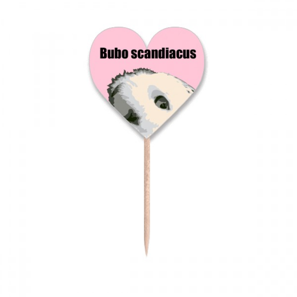 Bubo Scandiacus Bird White Toothpick Flags Heart Lable Cupcake Picks