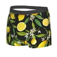 thumbnail image 2 of Bingfone Lemon Fruits Flowers Leaves Men'S Underwear - Casual Stretch Boxer Briefs-Medium, 2 of 9