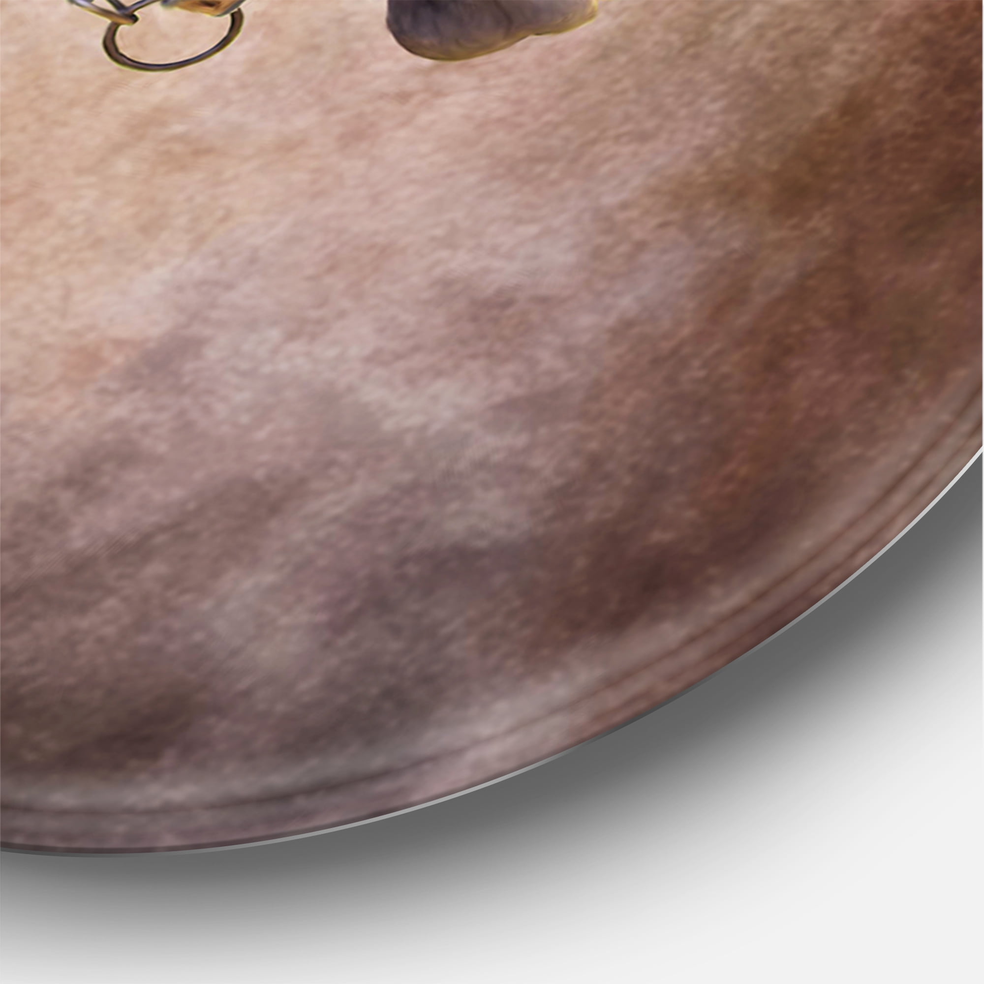 Designart 'Close Up Portrait Of Brown Horse' Farmhouse Circle Metal Wall Art 11x11 - Disc of 11
