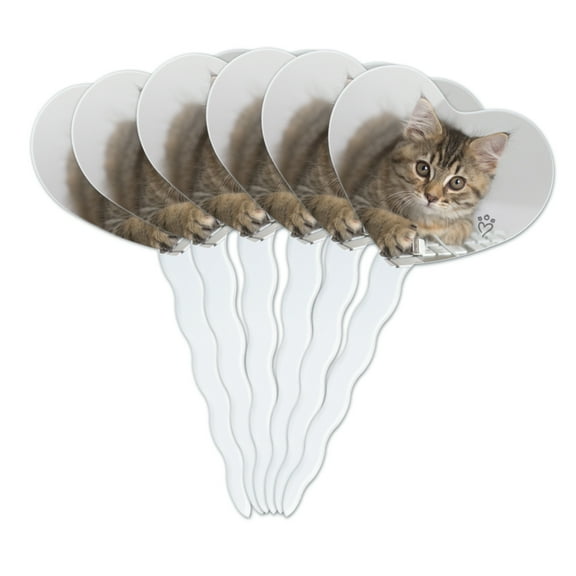 Shorthair Tabby Kitten Cat Computer Mouse Keyboard Heart Love Cupcake Picks Toppers Decoration Set of 6