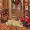 thumbnail image 1 of CNKOO Rug Hopes You Like Ms Rachels Doormat Housewarming Gift Front Door Decor Good Doormat Funny Door  Porch Decor Closing Gift, 1 of 5