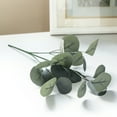 thumbnail image 4 of (4 pack) 13-inch Artificial Silk Green Silver Dollar Eucalyptus Greenery Pick, for Indoor Use, by Mainstays, 4 of 9