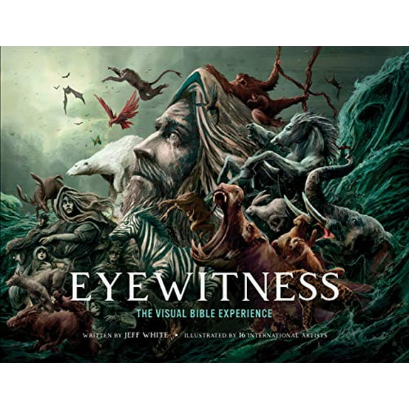 Pre-Owned Eyewitness: The Visual Bible Experience Paperback