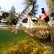 thumbnail image 4 of Señuelo de pesca, aparejos de pesca duros de plástico de 13,7 cm, juego de señuelos de pesca duros, diseño fácil de usar, 4 of 8