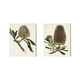 thumbnail image 1 of Metaverse Unknown 'Antique Protea B' Canvas Art (Set of 2), 1 of 4